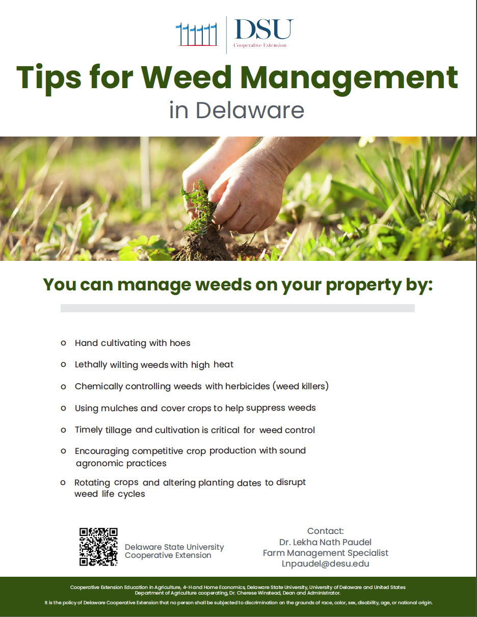 Weed Management Tip Sheet