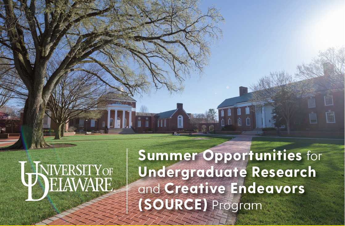 UD Undergrad Summer Research Flyer