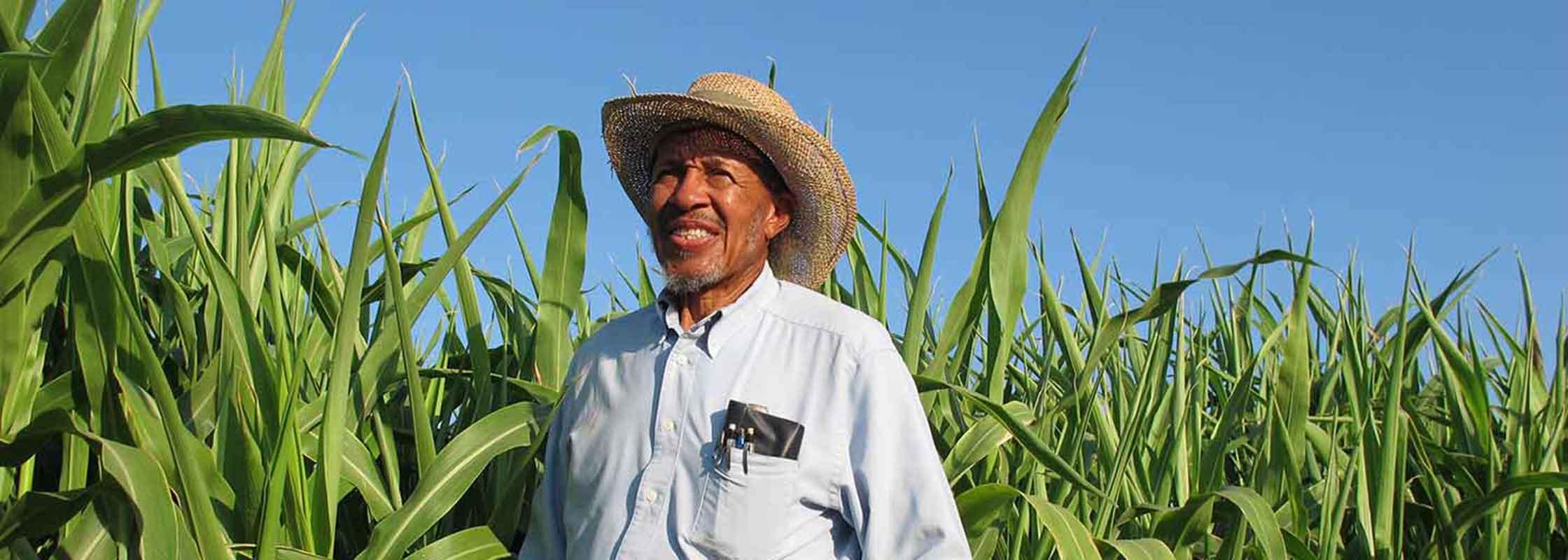 male farmer in field of corn