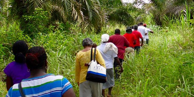 Experience Ghana